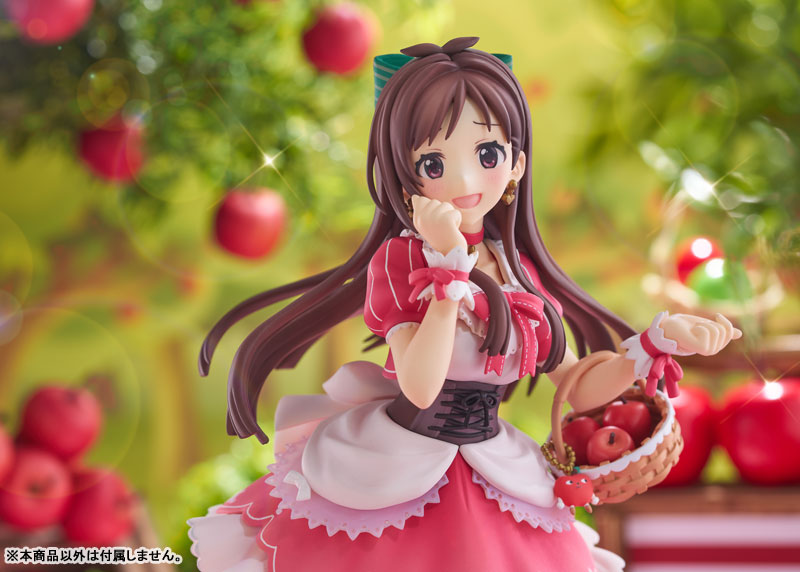 1/7 ���̵� ������ �ŵ����� ���� ������ ��ī�� [4582362386863]