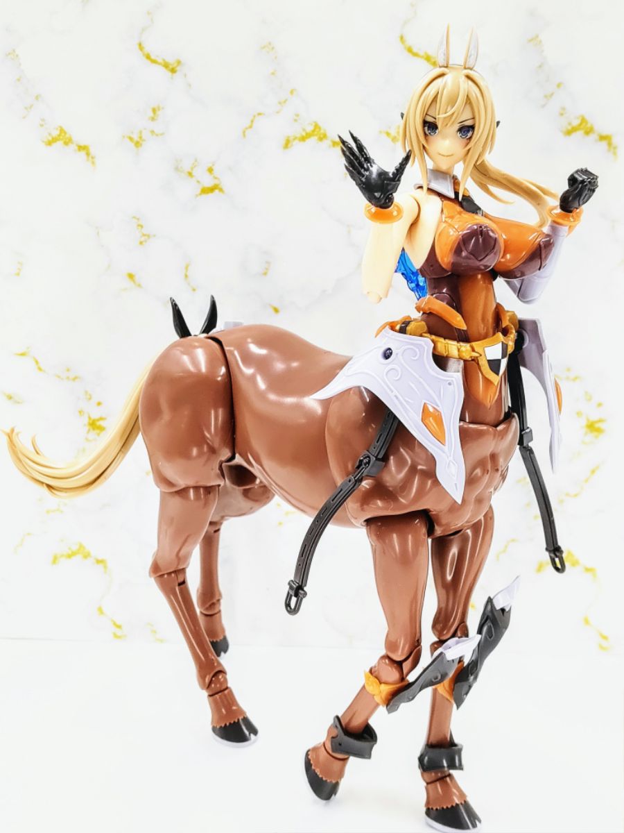 [�Ƹ�ī�����] ������ [11���԰��Ϸ�] [4934054039166]