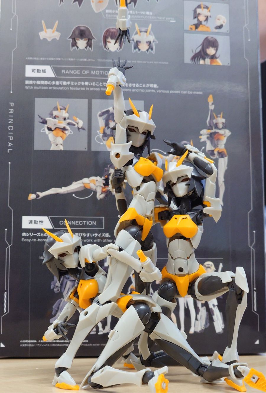 [��������] �ް��θ����� �������� [9���԰��Ϸ�] [4934054043972]