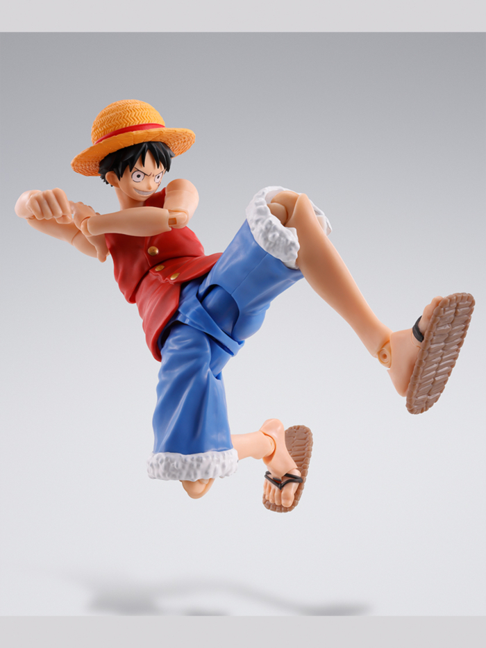 [S.H.Figuarts] ���ǽ� - ��Ű D ���� -������ ����- [1���԰��Ϸ�] [4573102664730]