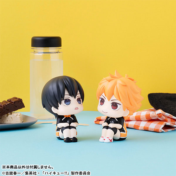 [����] [���] ����ť - ī�Ծ߸� ���� ������ ���� [4535123839351]