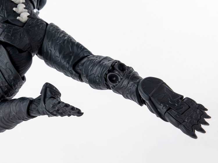 [�ǱԾ������ ���Ĵٵ�] ���� 8ȣ [8���԰��Ϸ�][4573102663146]