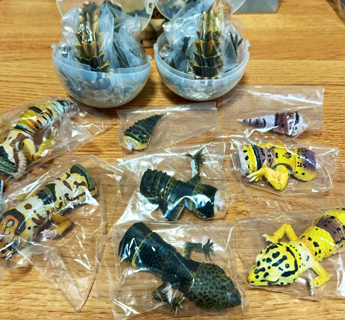 ���� �뵵�� ��庥�� ����Ƽ�� ����� �����ĵ����(���̿���) [4���԰��Ϸ�] [4570118196033]