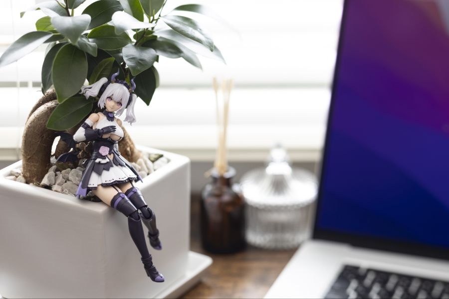 [����] [�Ƹ�ī�����] ���ǿ��� [4934054039180]