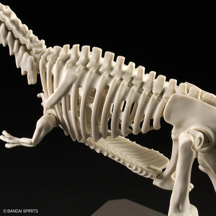 [�������罺][8] �Ⱑ���� ���罺 [3���԰��Ϸ�] [4573102663207]