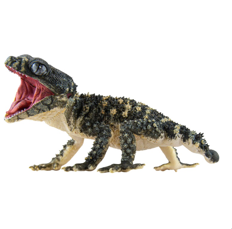 �ִϸӸ����ݷ��� 1/1 Ÿ�����߸�/�Ƹ���������ī��(1�ڽ�4����) [5���԰��Ϸ�] [4582361786022]