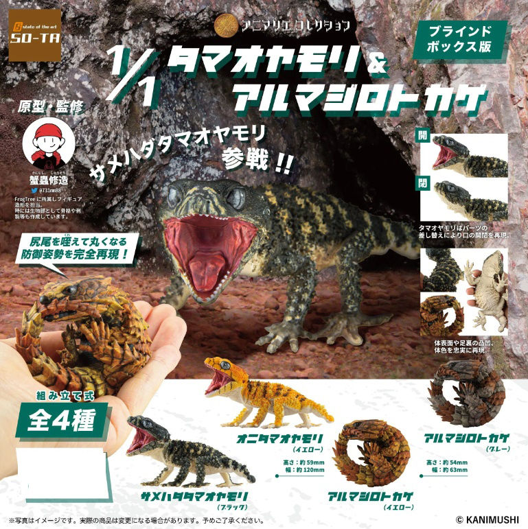 �ִϸӸ����ݷ��� 1/1 Ÿ�����߸�/�Ƹ���������ī��(1�ڽ�4����) [5���԰��Ϸ�] [4582361786022]