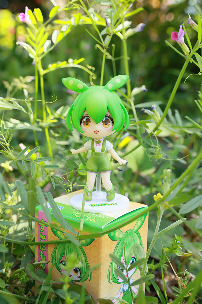 ��ȣ�� ���� - ��ٸ� �̴� �ǱԾ� [5���԰��Ϸ�] [4582362386252]