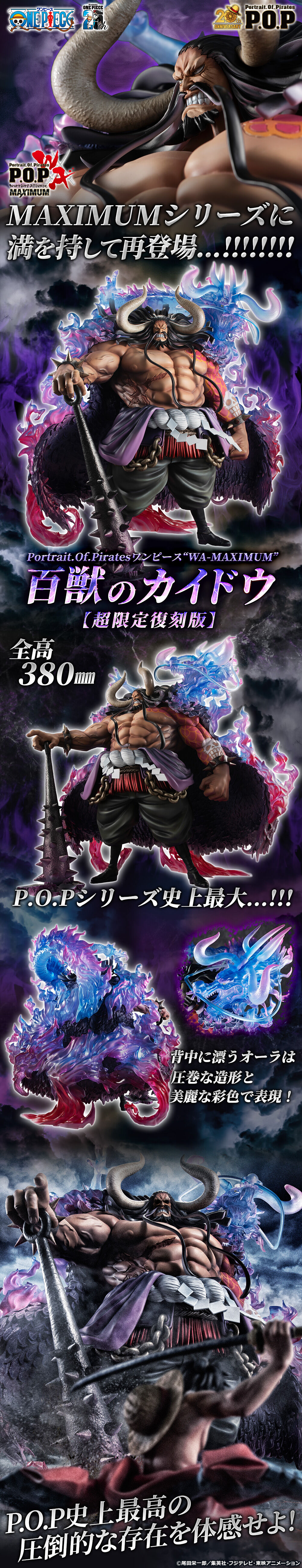 P.O.P ���ǽ� WA-MAXIMUM ��� ī�̵� [4535123716478]