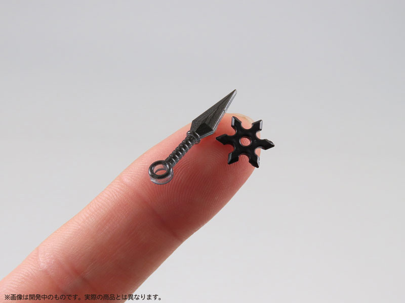  1/12 �������� ������ ������ [9���԰��Ϸ�] [4580614271547]