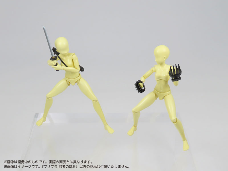  1/12 �������� ������ ������ [9���԰��Ϸ�] [4580614271547]