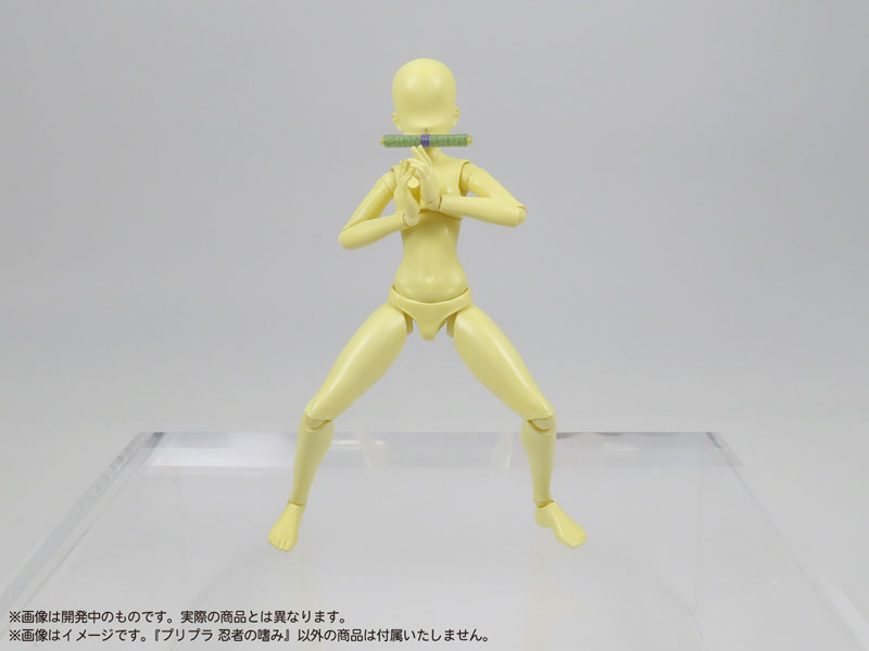  1/12 �������� ������ ������ [9���԰��Ϸ�] [4580614271547]