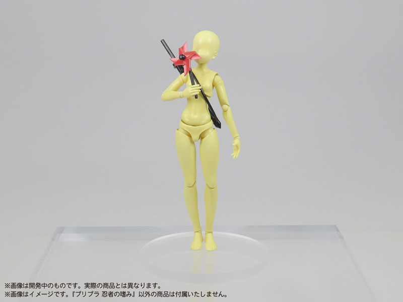  1/12 �������� ������ ������ [9���԰��Ϸ�] [4580614271547]