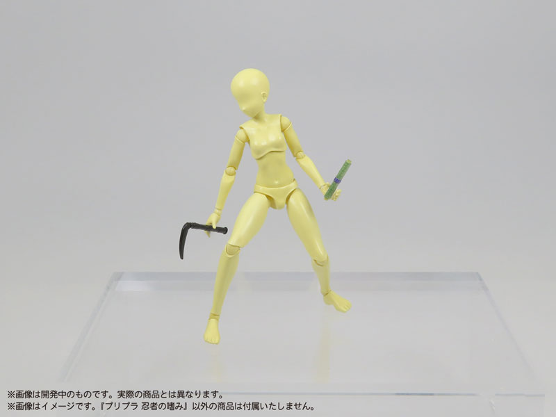  1/12 �������� ������ ������ [9���԰��Ϸ�] [4580614271547]