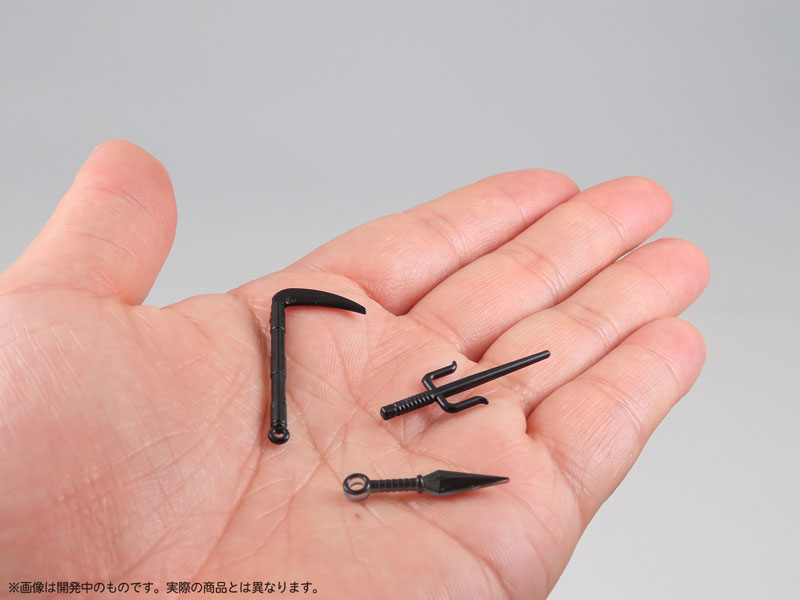  1/12 �������� ������ ������ [9���԰��Ϸ�] [4580614271547]