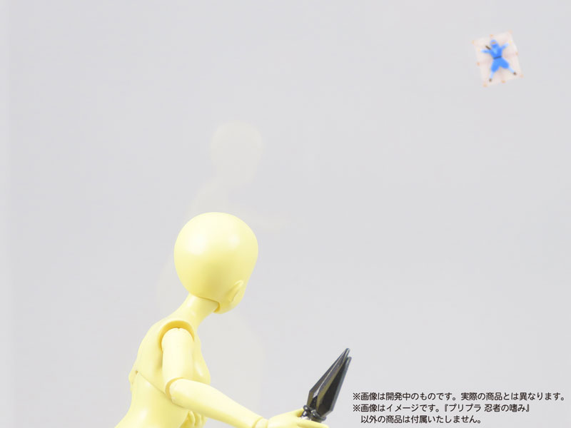  1/12 �������� ������ ������ [9���԰��Ϸ�] [4580614271547]