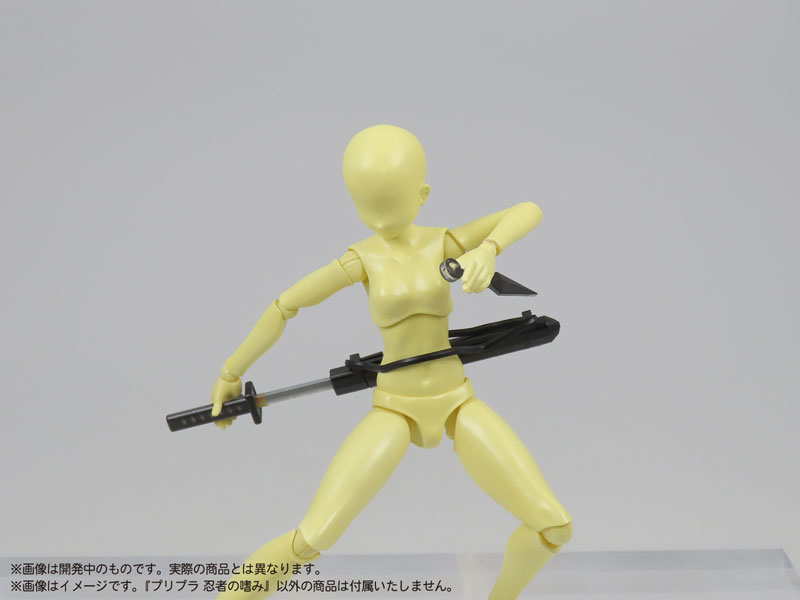  1/12 �������� ������ ������ [9���԰��Ϸ�] [4580614271547]