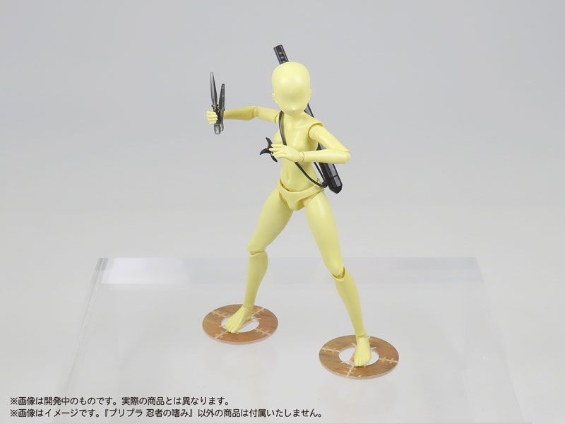  1/12 �������� ������ ������ [9���԰��Ϸ�] [4580614271547]