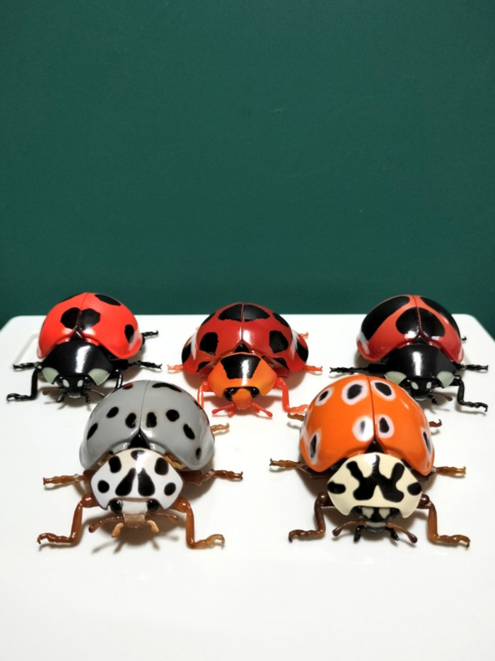 [�����߼�] ���� �뵵�� ���꽺 ������� 2ź(1�������߼�)