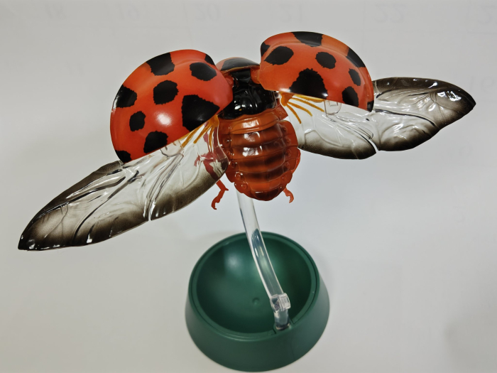 [�����߼�] ���� �뵵�� ���꽺 ������� 2ź(1�������߼�)