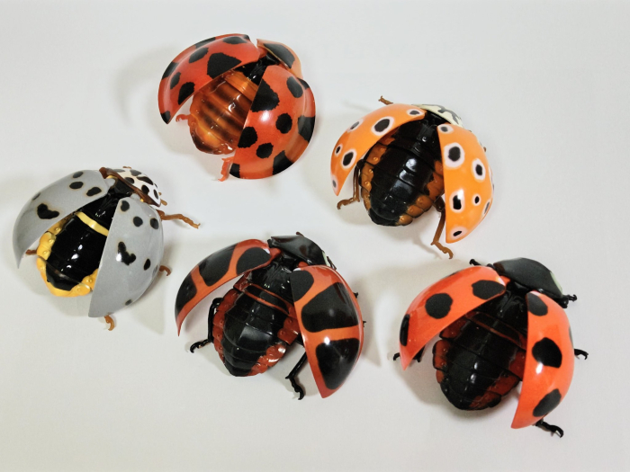 [�����߼�] ���� �뵵�� ���꽺 ������� 2ź(1�������߼�)