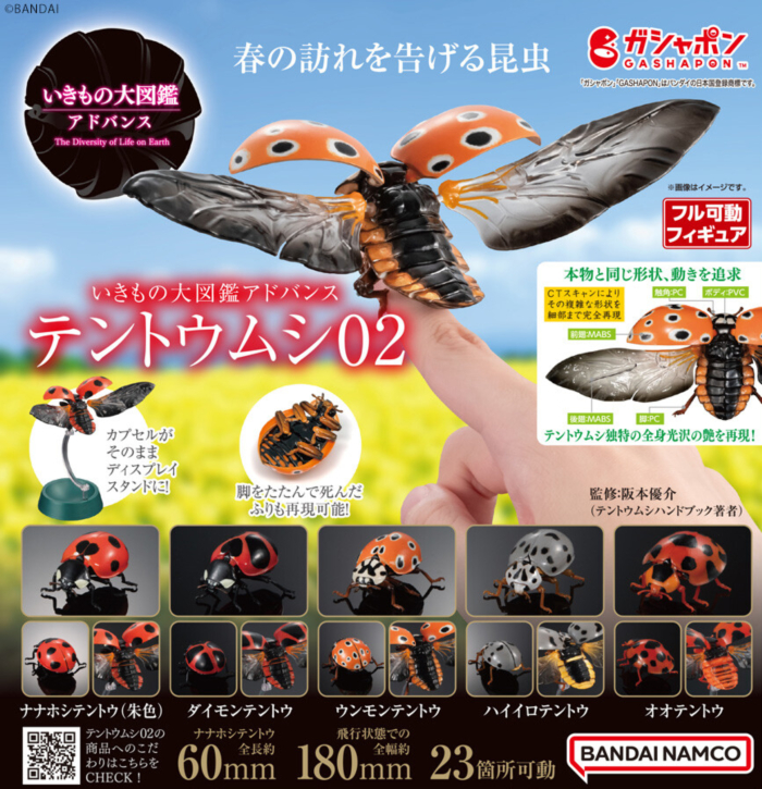 [�����߼�] ���� �뵵�� ���꽺 ������� 2ź(1�������߼�)