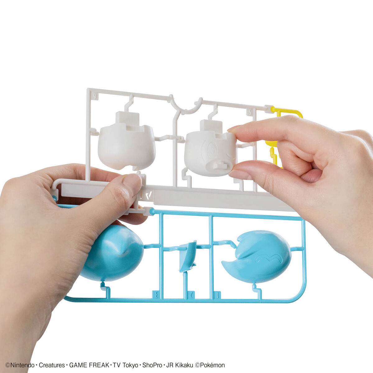 [���ϸ���������19] �ٿν� [9���԰��Ϸ�][4573102666970]