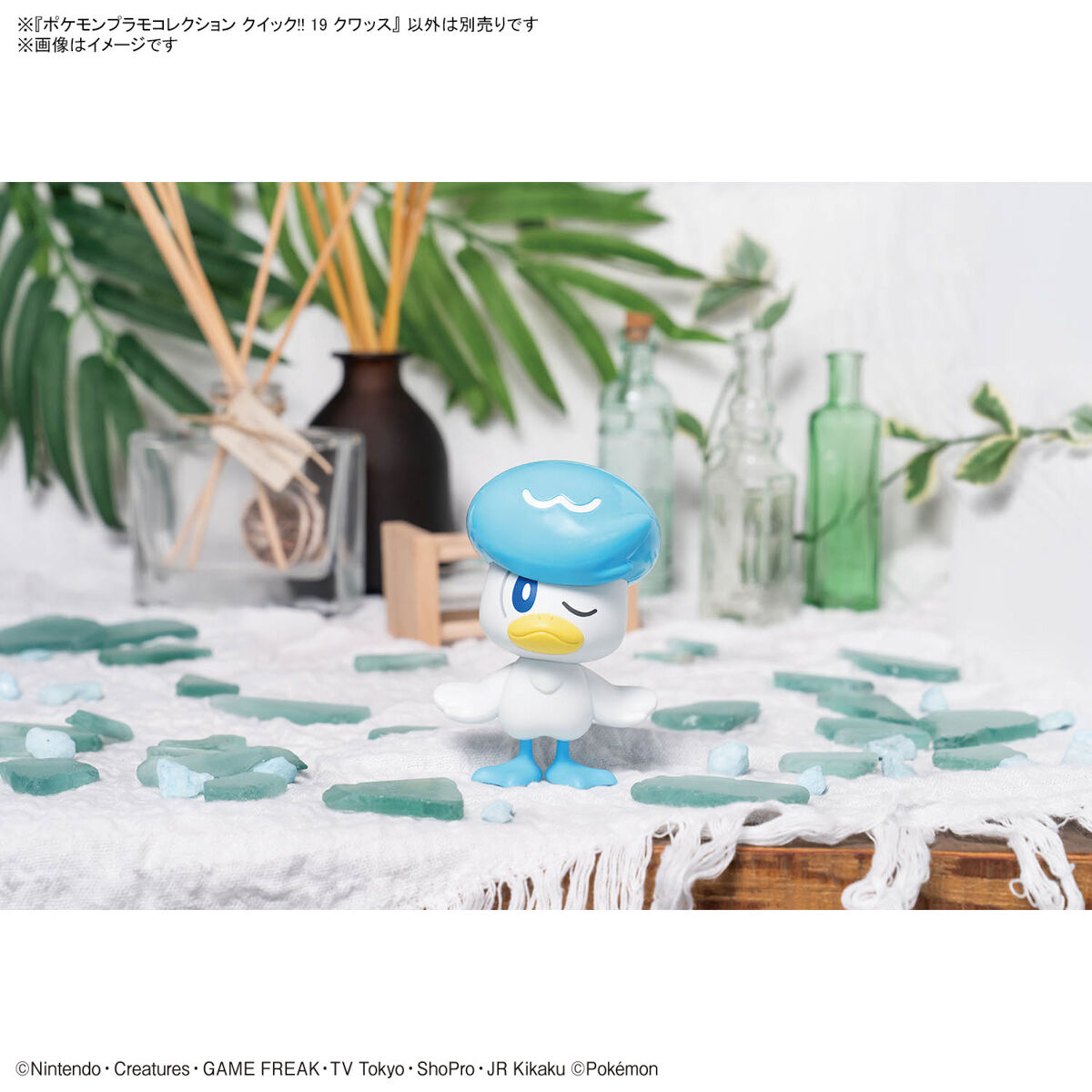 [���ϸ���������19] �ٿν� [9���԰��Ϸ�][4573102666970]