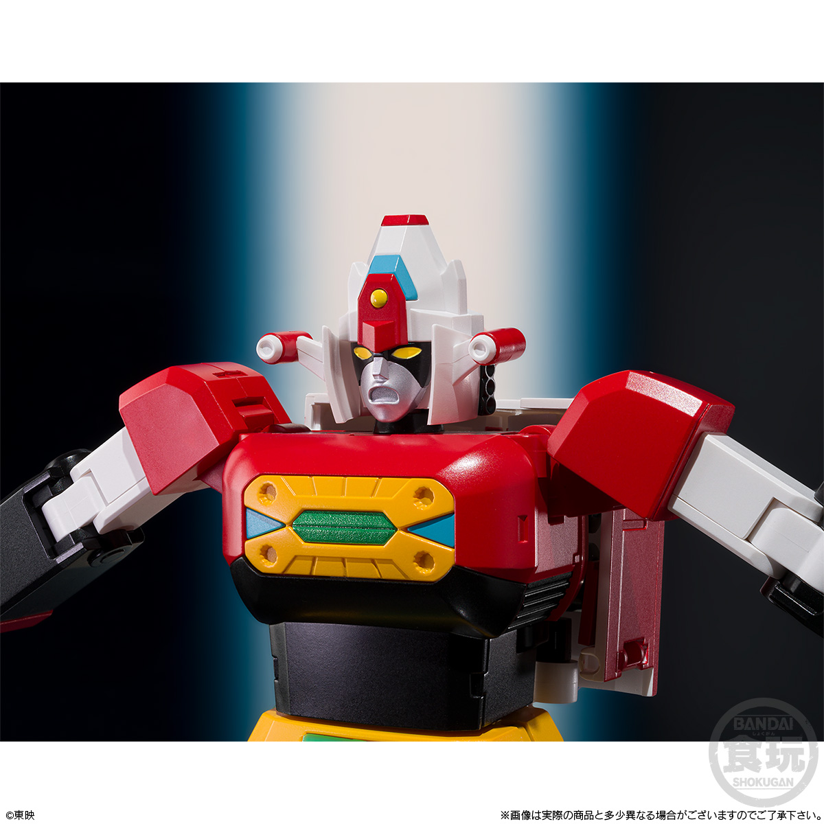 SMP ���� ���̸� [12���԰��Ϸ�][4570117916090]