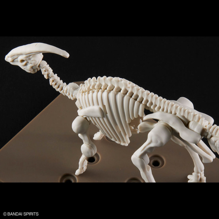 [�������罺][9] �Ķ���ѷ�Ǫ�� [3���԰��Ϸ�] [4573102667045]