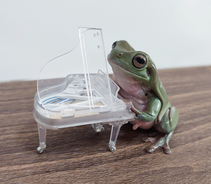 [�����߼�] ī���� �ǾƳ� �̴Ͼ�ó �ݷ���(1�������߼�) [12���԰��Ϸ�] [4573567418725]