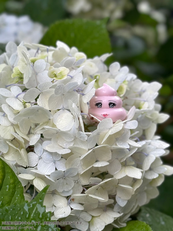 �������� ���� Ŭ�� Vol.2 [12���԰��Ϸ�][4580614271745]