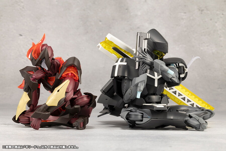 [��������] �ް��θ����� �渮�� [12���԰��Ϸ�] [4934054055784]