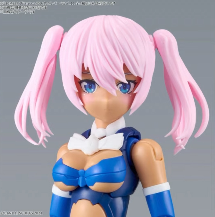 [30MS] �ɼ� ��� ��Ÿ�� ���� Vol.11 4�� ��Ʈ(1�ڽ�4����) [2���԰��Ϸ�] [4573102676894]