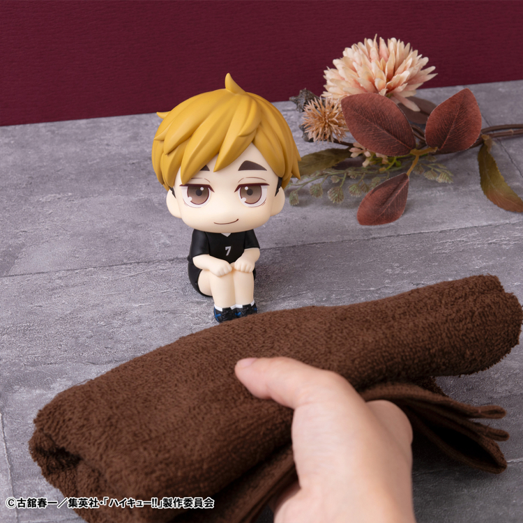  [���] ����ť - �̾� ������ ������ ���� [4535123841965]