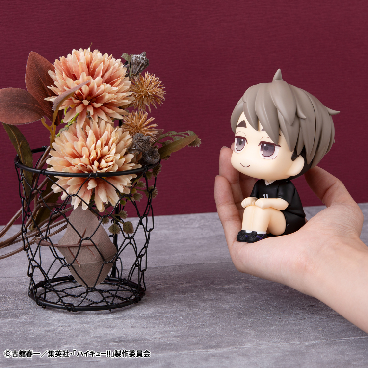 [���] ����ť - �̾� ���繫 ������ ���� [4535123841972]