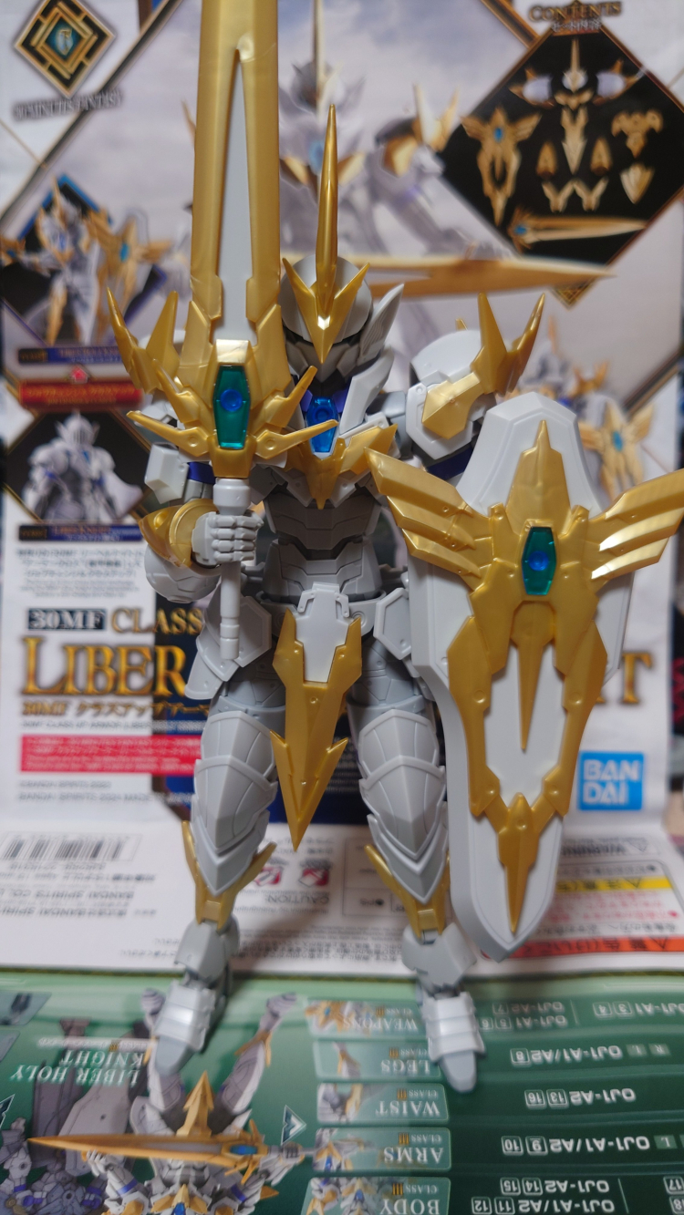 [30MF] ���� Ȧ�� ����Ʈ [4���԰�����] [4573102671653]