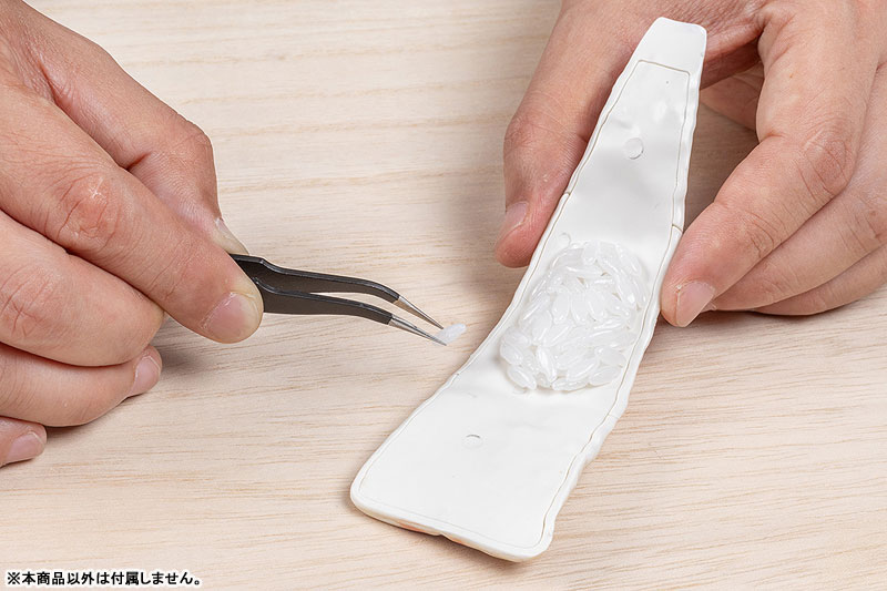 1/1 ���� ����� ����� �ʹ� [3���԰��Ϸ�][4580620730601]