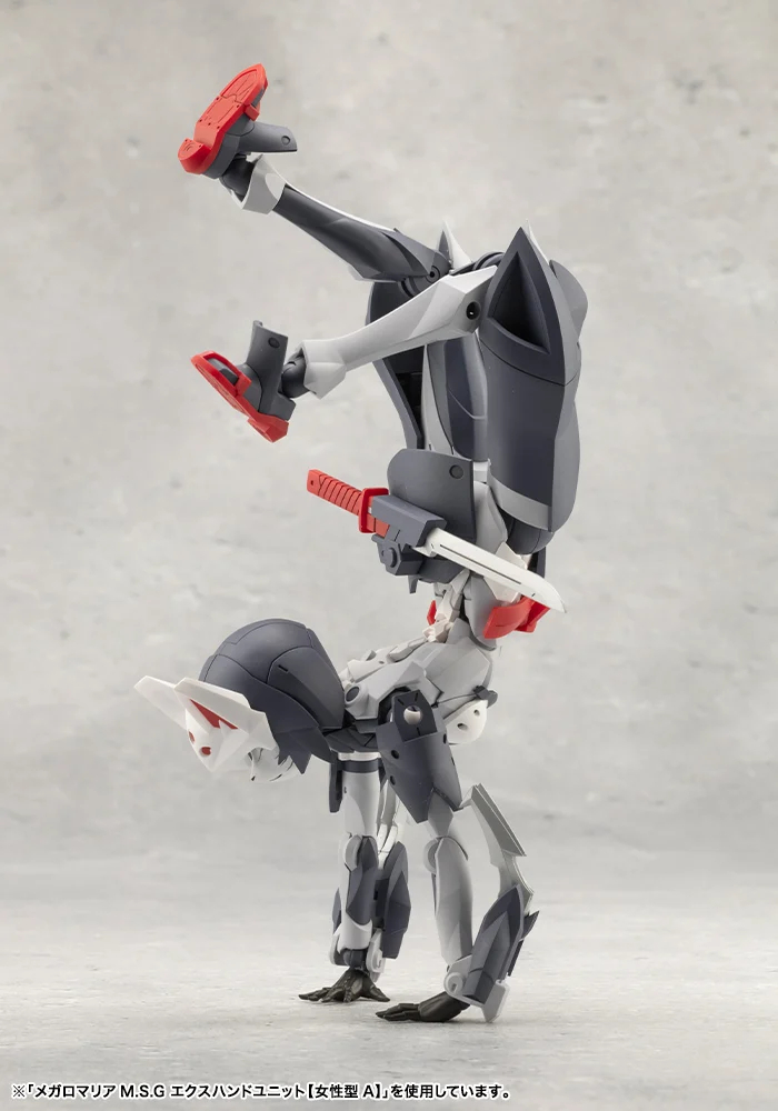 [��������] �ް��θ����� �ĸ� [4���԰��Ϸ�][4934054062003]