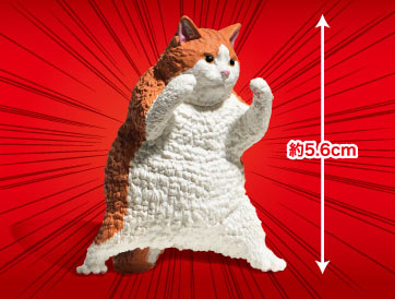 �����(1�ڽ�10����) [11���԰��Ϸ�] [4570198773315]