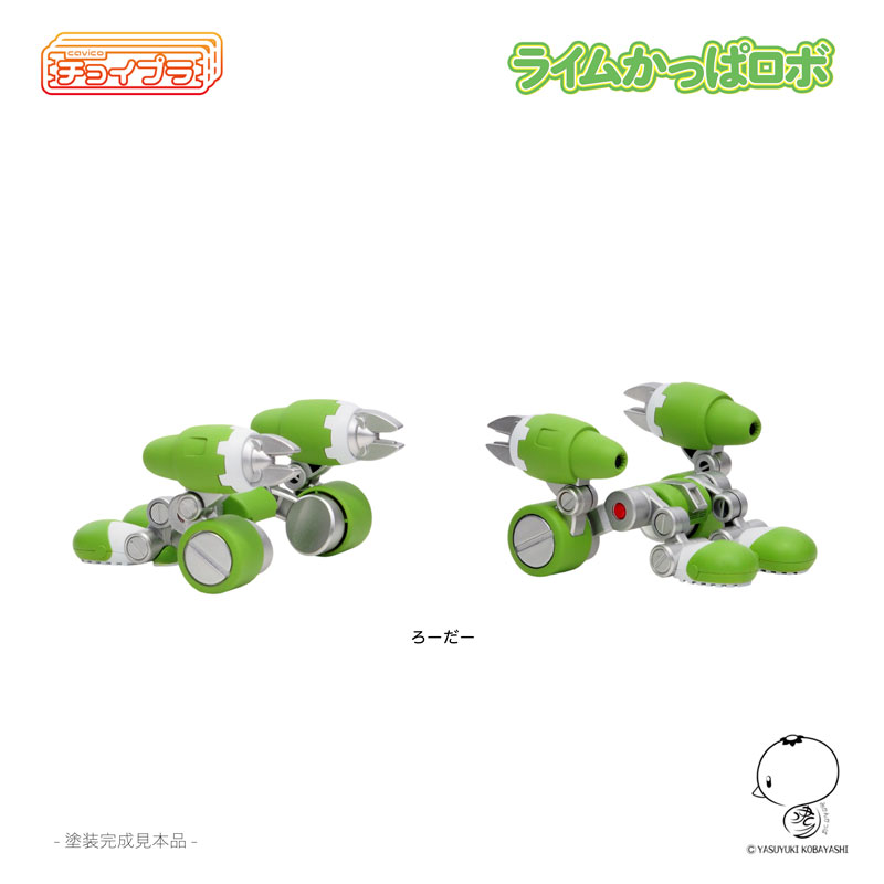 �������� ���� ı�� �κ� [12���԰��Ϸ�][4580033110601]