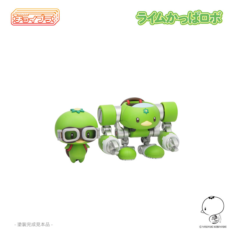 �������� ���� ı�� �κ� [12���԰��Ϸ�][4580033110601]