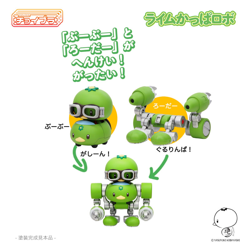 �������� ���� ı�� �κ� [12���԰��Ϸ�][4580033110601]