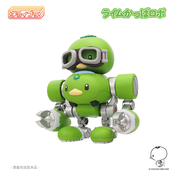 �������� ���� ı�� �κ� [12���԰��Ϸ�][4580033110601]