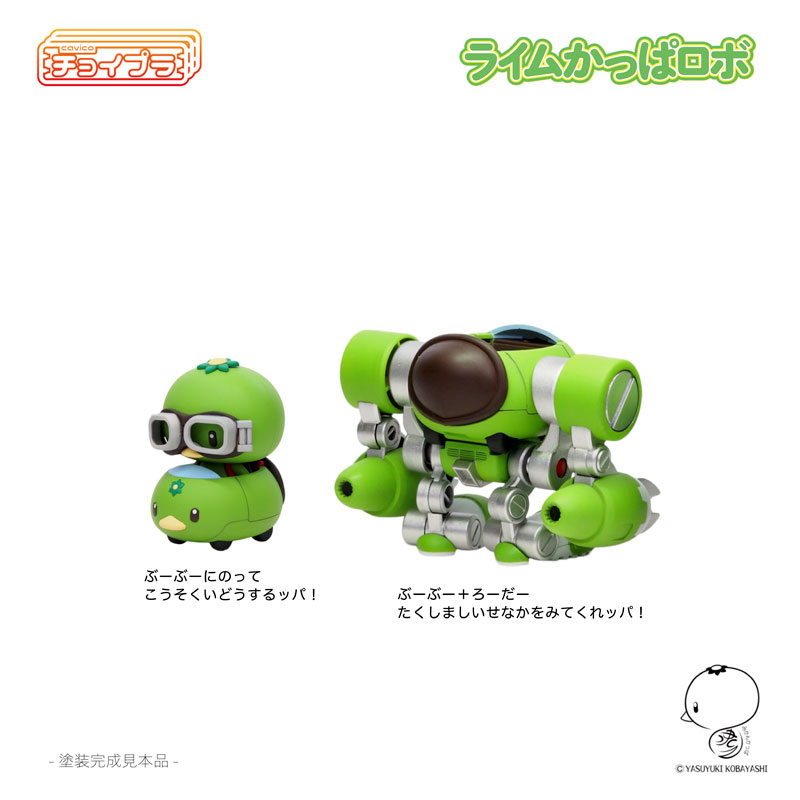 �������� ���� ı�� �κ� [12���԰��Ϸ�][4580033110601]