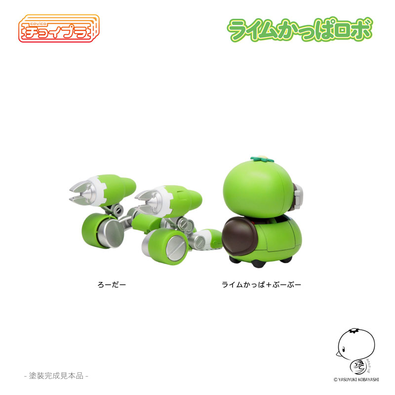 �������� ���� ı�� �κ� [12���԰��Ϸ�][4580033110601]