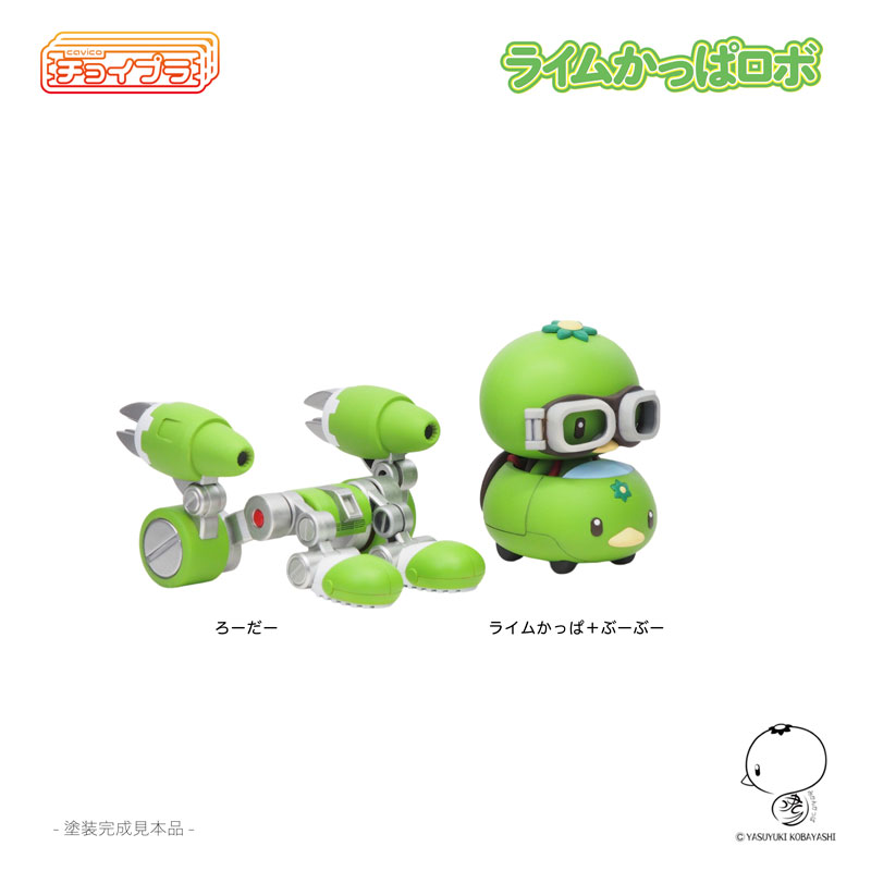 �������� ���� ı�� �κ� [12���԰��Ϸ�][4580033110601]