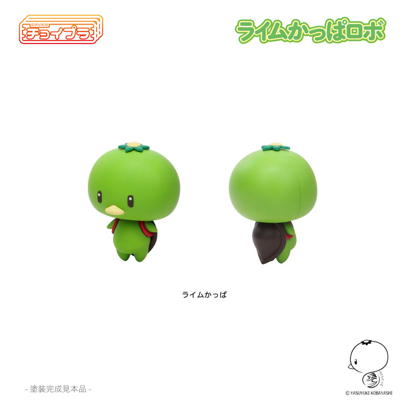 �������� ���� ı�� �κ� [12���԰��Ϸ�][4580033110601]