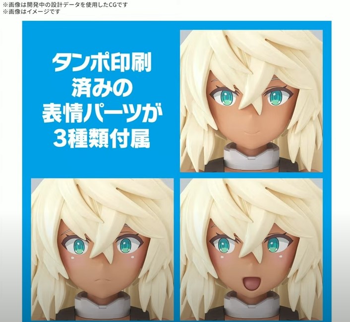 [30MS] SIS-H00 ����Ƽ�� �÷�C [4���԰�����] [4573102685629]