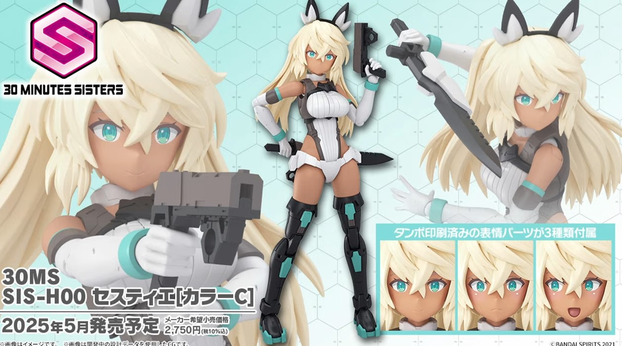 [30MS] SIS-H00 ����Ƽ�� �÷�C [4���԰�����] [4573102685629]